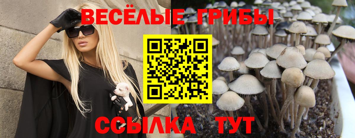 Псилоцибиновые грибы ЛСД  Вход с VPN  Алексин 